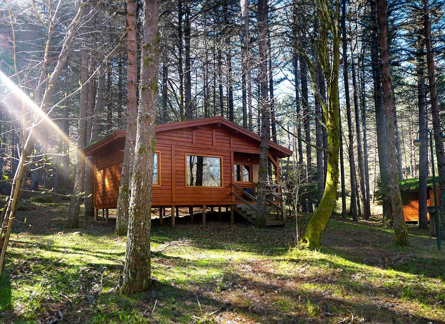 A photo of a rustic cabin in the woods