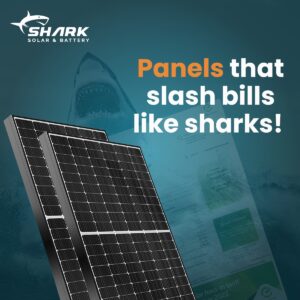 Solar Panel for sale by Shark Solar